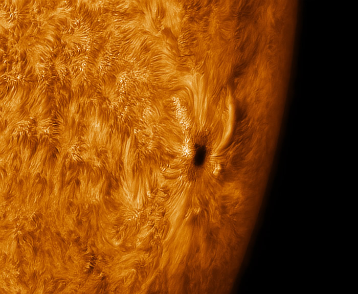 Ӣ�����ؿ�6Ѯ������ӰʦPaul Andrew��ס����԰���������̫���緢������ͼ��