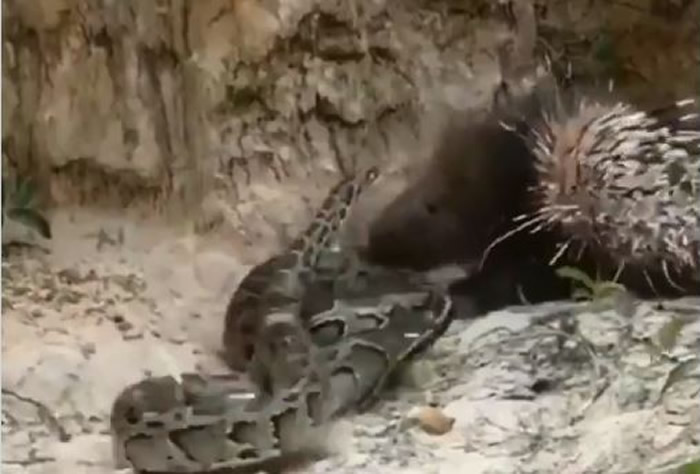 ����������߼�ս��ӰƬ������贫