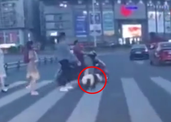 四川省乐山市有人当街“遛大熊猫”?原来是松狮犬