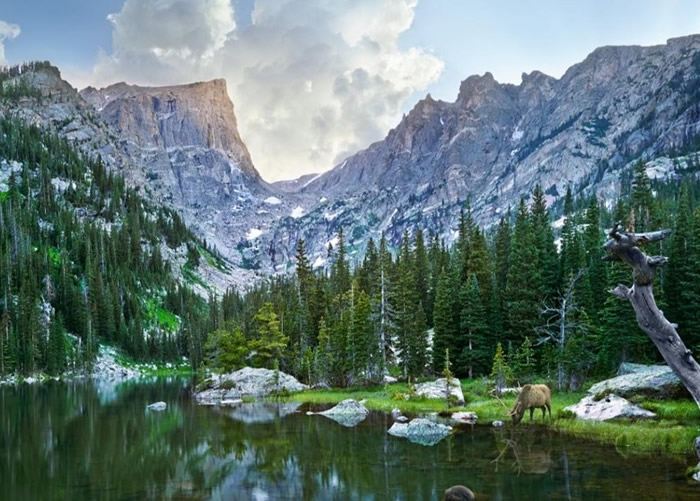 ����������ɽ����ͼ��ɭ�����