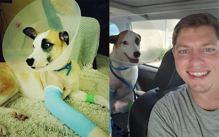 美国前陆军军官沿河岸散步时爱犬被巨鳄拖下水 搏斗后成功抢救回来