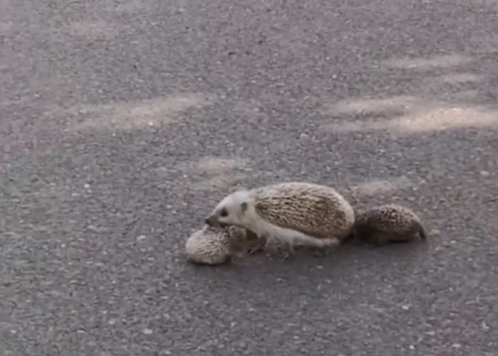 ɽ��ʡ�����С�����������������·�� ����;����һ����Բ