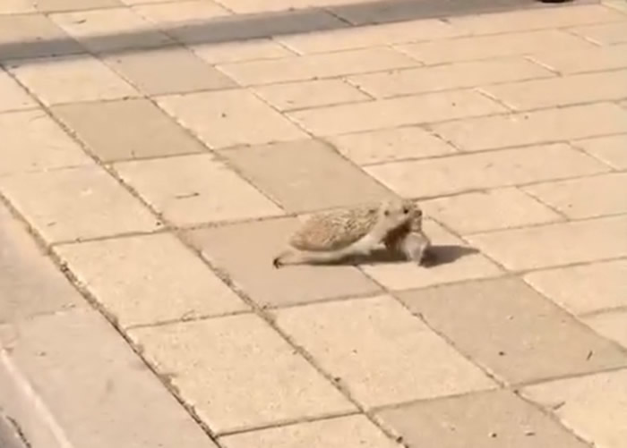 ɽ��ʡ�����С�����������������·�� ����;����һ����Բ