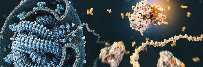 ʷȾţƶԵֿʱĿǰƵʱ1400