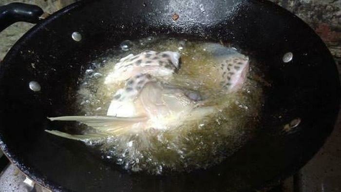 印尼中爪哇男子养了一条贵价观赏鱼“龙吐珠” 托父亲照顾惨被油炸“加菜”