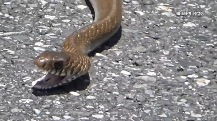 ̨�����ո��� �����������߹����̰���·��������