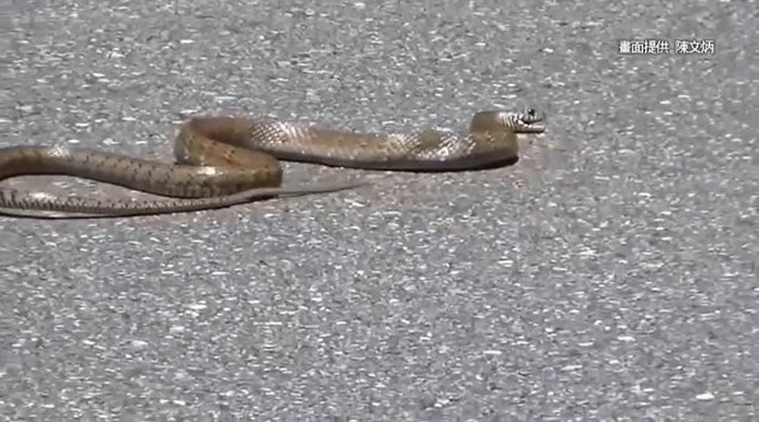 ̨�����ո��� �����������߹����̰���·��������