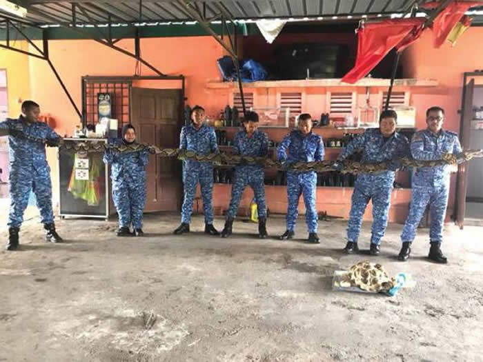 �������������ڴ�ɨ�ԼҺ�Ժʱ���ֳ���5���ߵĴ����� �߶��ڻ���50���ߵ�