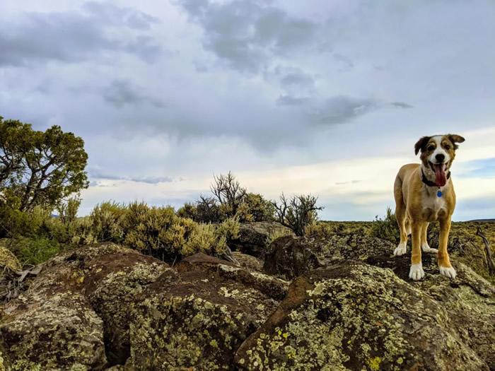 �����о���Ա������㹷��������ľ�ȷ��ʽ ȡ��������һ������˵����ꡱ�ļ��㷽��