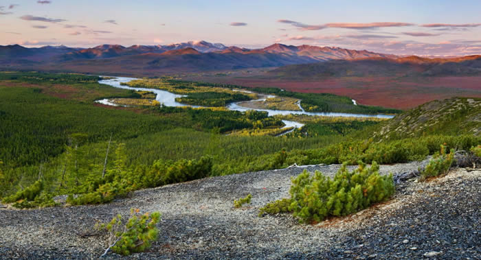 ����˹�������ſ��أ����͹����������ܵ�����Ȼ������