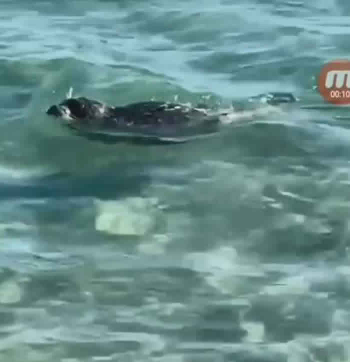 ������˹̹���������ο͵��������� Ϊ�ú������վ����������ʯͷ���������