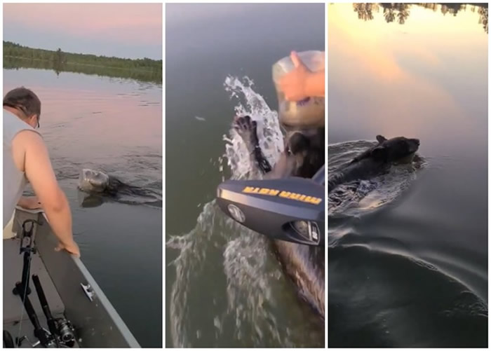 ������˹������С����ͷ����Ͱ���и��� ��ͥ��������������