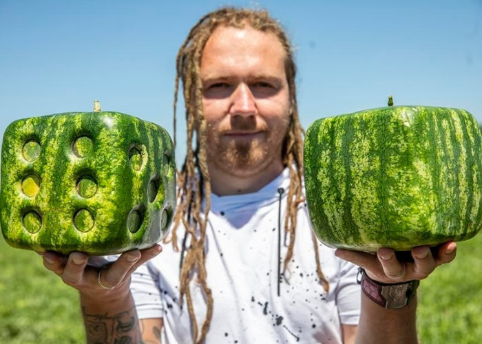 ������ũ��Robert Pap���ַ����������г� ���������ӱ��һ��