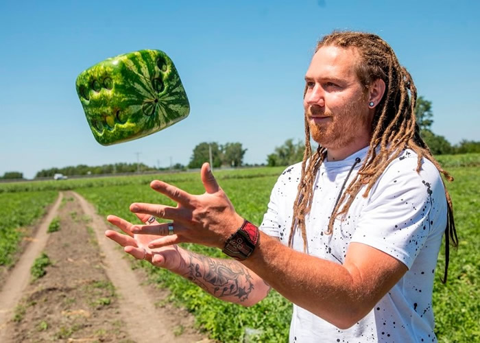 ������ũ��Robert Pap���ַ����������г� ���������ӱ��һ��