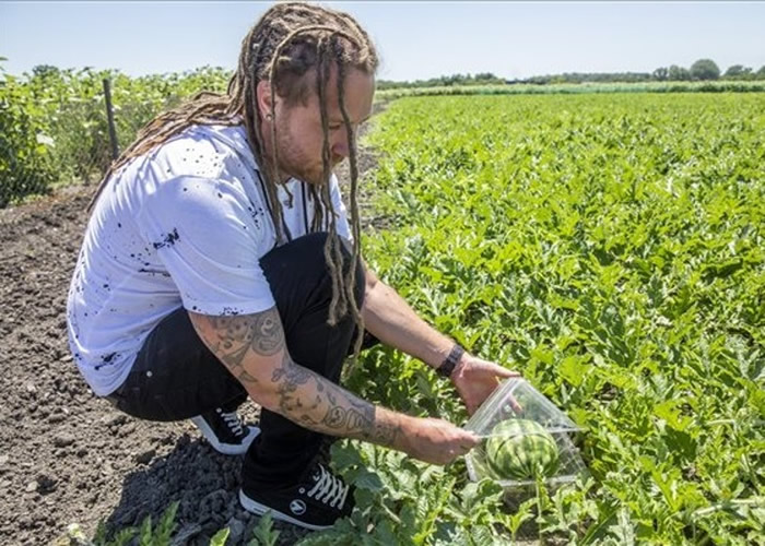 ������ũ��Robert Pap���ַ����������г� ���������ӱ��һ��