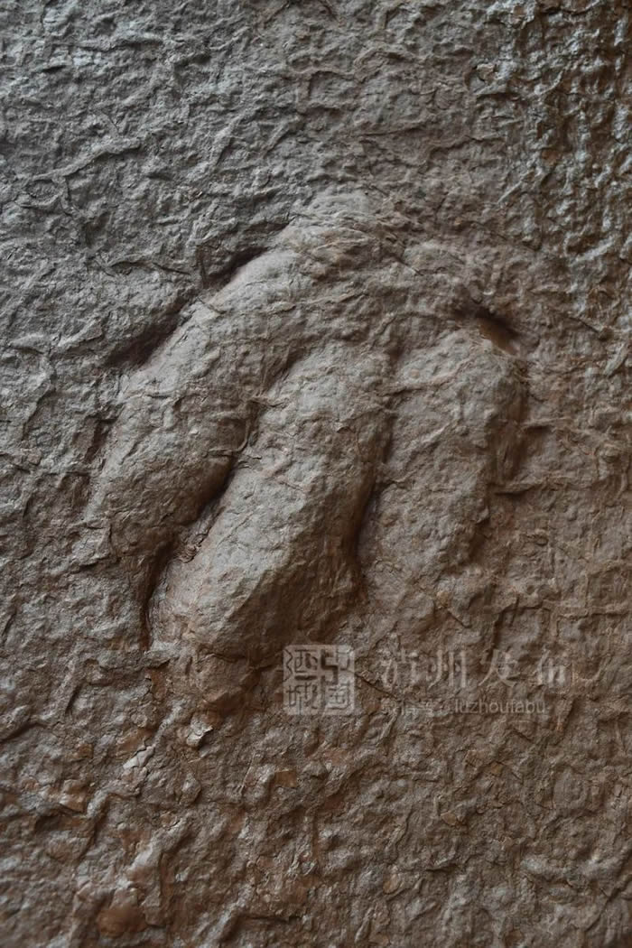 �Ĵ����ݹ������������ӵ��������ؽ�ӡ��ʯ ר�ң���Ϊ���Ѽ�����ʵ�����㼣