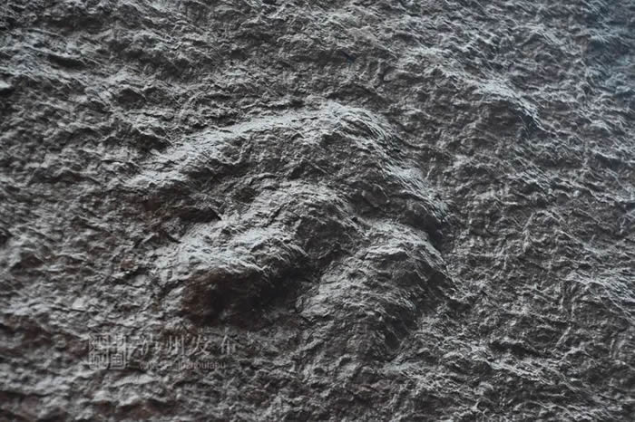 �Ĵ����ݹ������������ӵ��������ؽ�ӡ��ʯ ר�ң���Ϊ���Ѽ�����ʵ�����㼣