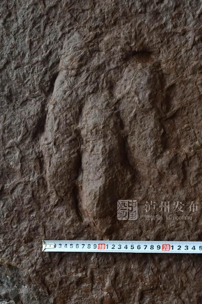 �Ĵ����ݹ������������ӵ��������ؽ�ӡ��ʯ ר�ң���Ϊ���Ѽ�����ʵ�����㼣