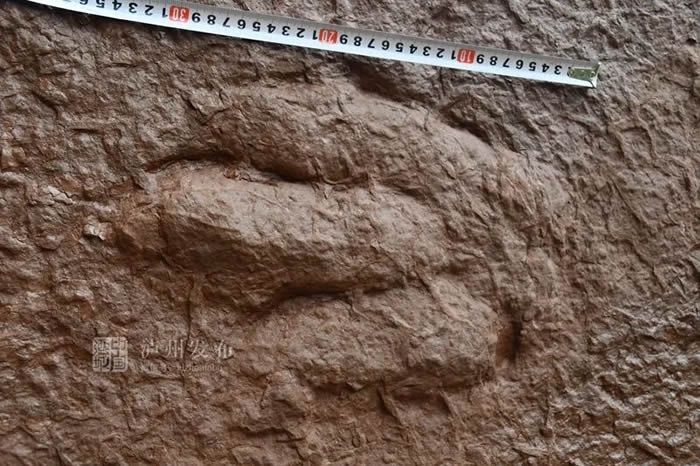 �Ĵ����ݹ������������ӵ��������ؽ�ӡ��ʯ ר�ң���Ϊ���Ѽ�����ʵ�����㼣