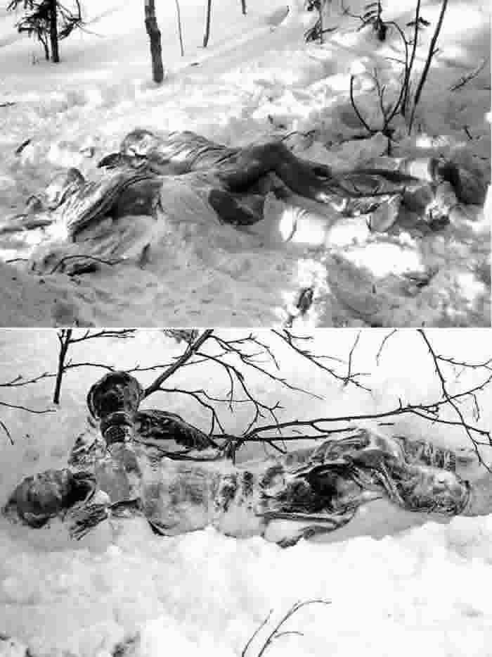 登山客的眼球、舌头消失!前苏联时期神秘“迪亚特洛夫事件”公布调查结果:雪崩