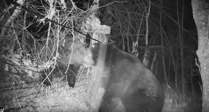 �й������˹�߾��������ҳ�ͻ�¼���ԭ����2ֻ������ ������Ц��