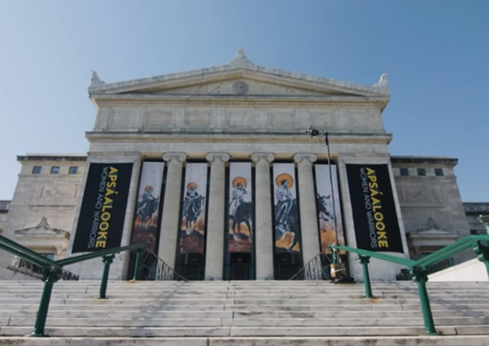 美国芝加哥谢德水族馆2只麦哲伦企鹅到访菲尔德自然史博物馆 傻头傻脑参观恐龙化石