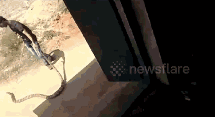 ӡȶŴܵŵ۾ߵ³С޴սƷ