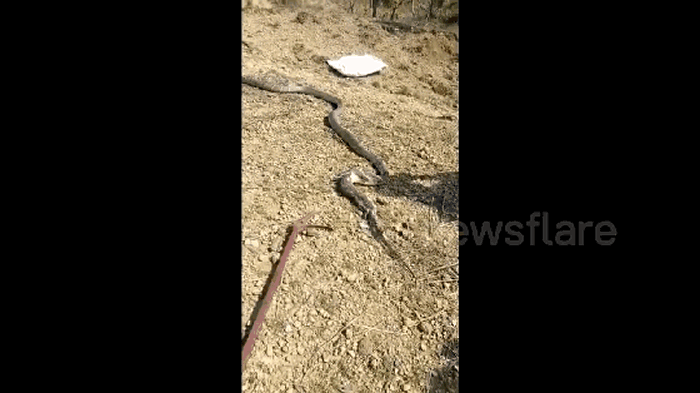 ӡȶŴܵŵ۾ߵ³С޴սƷ