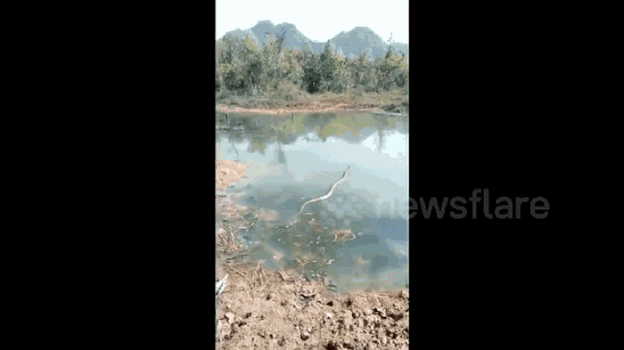 ӡȶŴܵŵ۾ߵ³С޴սƷ