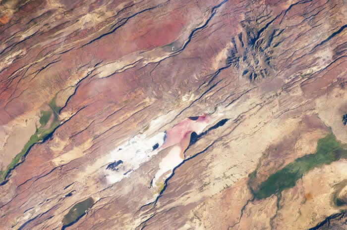 “促进公讲炊事 助力村降复兴”维爱公益止动正在京启动