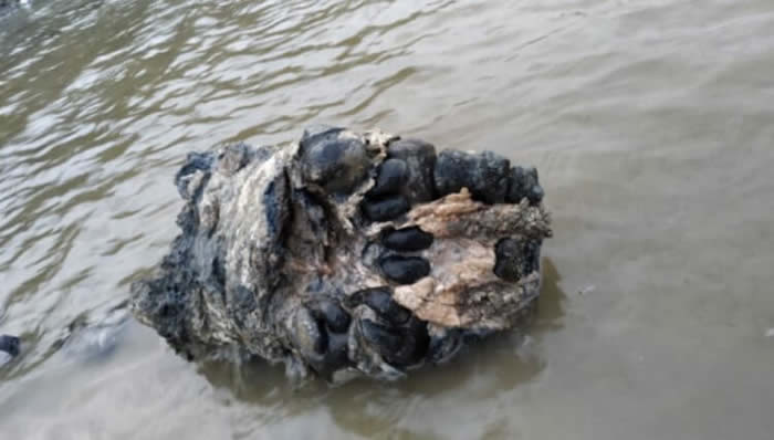 E3 2021：《12分钟》公布出售时候 8月19日上线感受幽闭惊骇