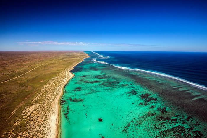 女子澳洲浮潜遇座头鲸母子 惨遭30吨巨大身躯冲撞像被车辗