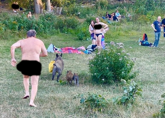 �¹��׶����ִ���ħ��������Ұ��͵������� ����ԡ�����㱼׷��