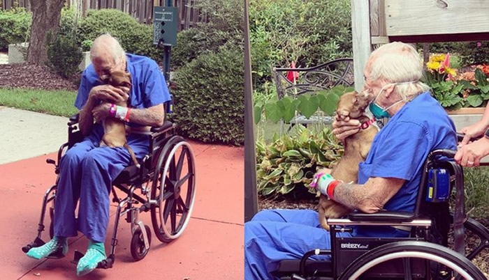 ���������������ݶ�������ͻȻ�з� ���ļ����������˻��ɱ��������Ѿ���