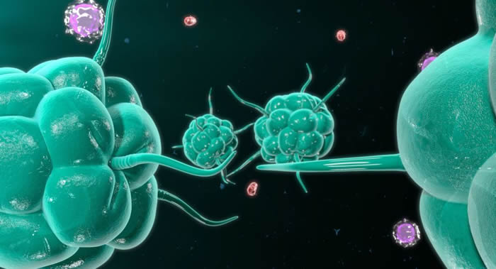 科学家揭开伴随恶性肿瘤出现的细胞变化的奥秘