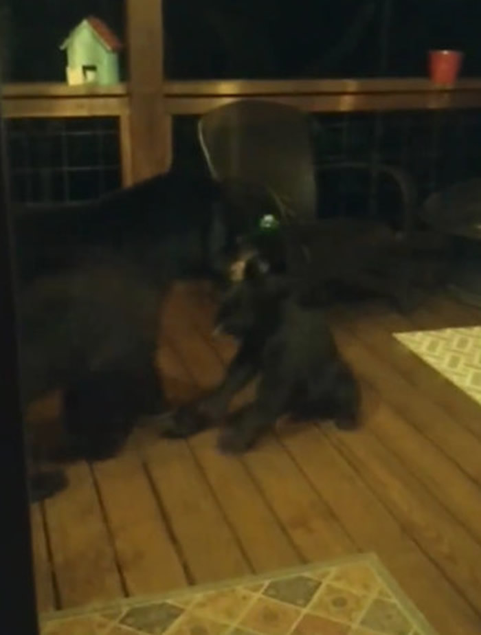 ���������������ݾ����賿�������⴫������ �������������ڴ���