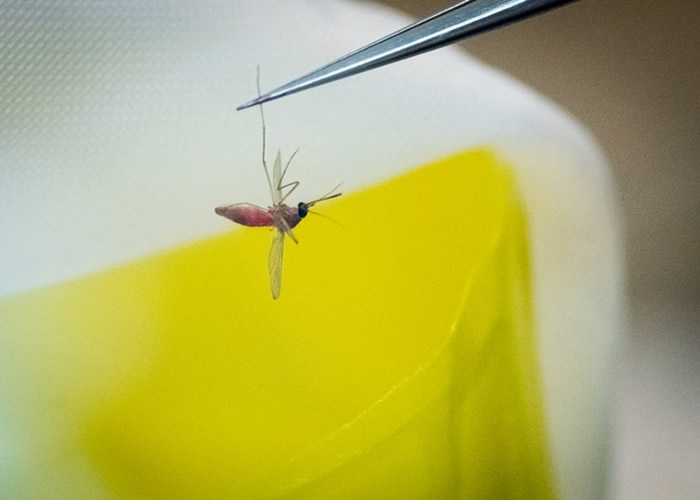 ������������������ͷ�7.5��ֻ����������� �������ƻ���ͬ��٪�޼͹�԰ʵ�顱