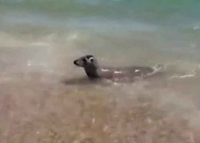 Ӣ�������ؿ��Ȱ���ֱ�����������Τé˹�۳�������ʱ�⺣��ǿ�˳�紬��