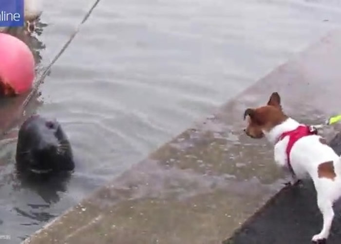 Ӣ�������ؿ��Ȱ���ֱ�����������Τé˹�۳�������ʱ�⺣��ǿ�˳�紬��