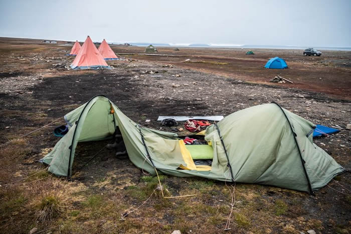 50年来第6起!荷兰游客到挪威斯瓦巴群岛露营遇遭北极熊撕咬惨死