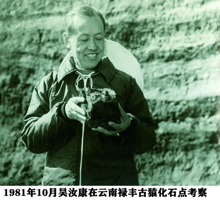 317452号小行星正式命名为“吴汝康星” 纪念中国古人类学奠基者吴汝康