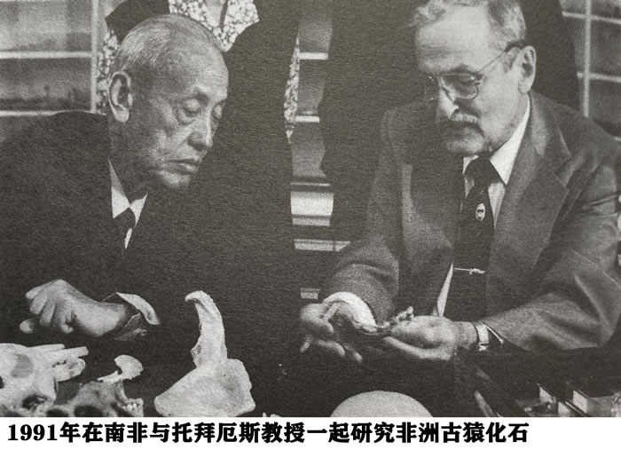 317452号小行星正式命名为“吴汝康星” 纪念中国古人类学奠基者吴汝康