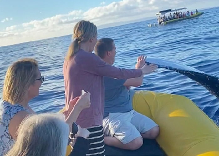 ���������Ĳ���۾�����������˻�12�׳���ͷ�������ʺ�