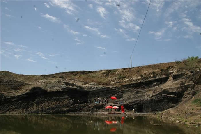 ������ͨˮ���ӷ��ֵĻ�ʯ�걾��ʾ���޽�˿�����ȿ�����640����ǰ����ͨ�к�