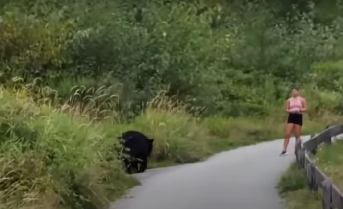 加拿大女子在登山路段慢跑 黑熊突然从树丛中现身还伸掌摸她的腿