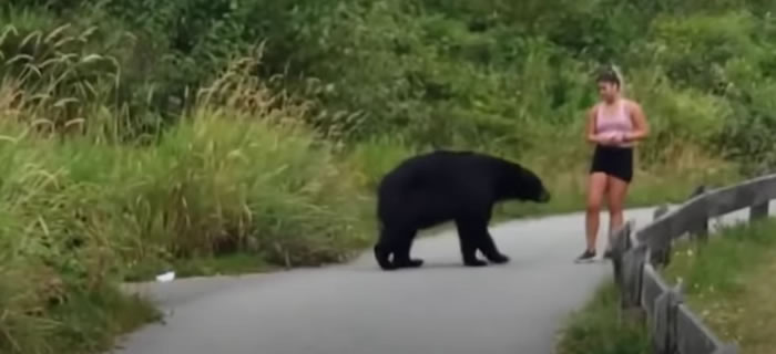 加拿大女子在登山路段慢跑 黑熊突然从树丛中现身还伸掌摸她的腿