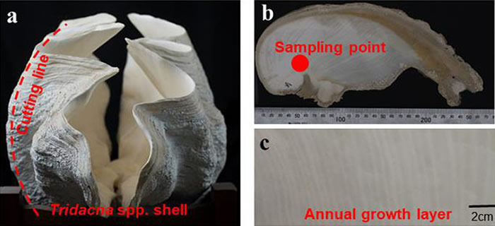 aǻʯ壻bипõ棻cƲ㡣