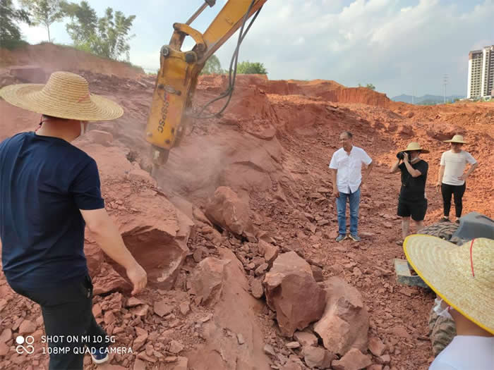 广东省河源市江东新区临江镇联新村一处红砂岩山坡发现恐龙蛋化石