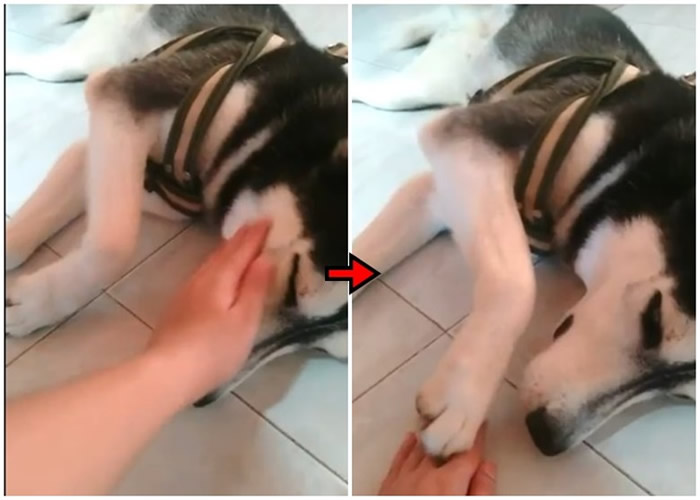 ������Ъ����Ů��������ս������Ҫ������Ĺ����������ǵķ�Ӧ��