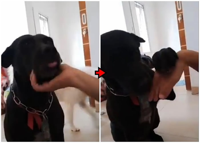 ������Ъ����Ů��������ս������Ҫ������Ĺ����������ǵķ�Ӧ��